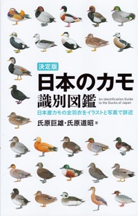 日本のカモ 識別図鑑